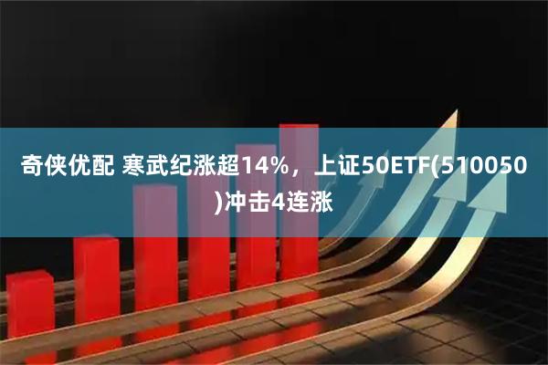 奇侠优配 寒武纪涨超14%，上证50ETF(510050)冲击4连涨