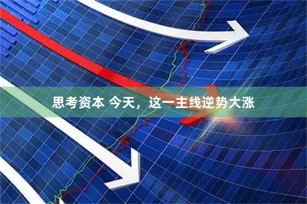 思考资本 今天，这一主线逆势大涨